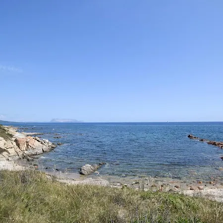 Domo Sa Maggie * Будони